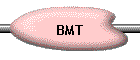 BMT
